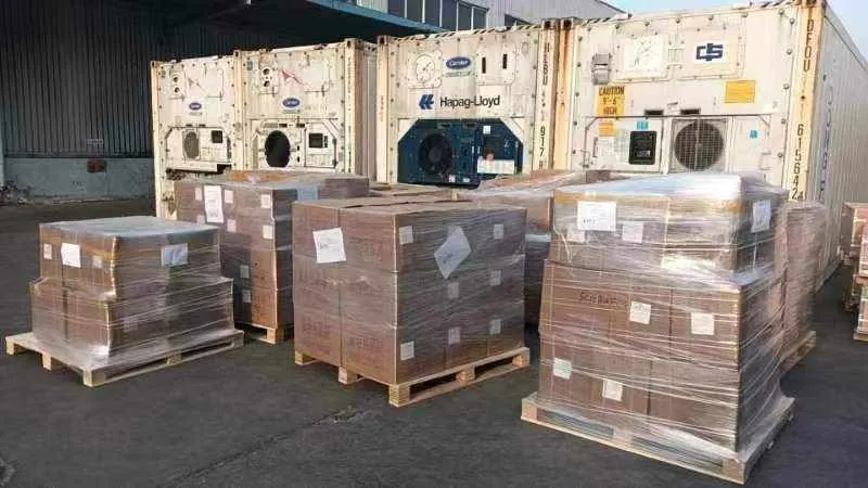 Pallets de mercadería listos para despacho junto a contenedores